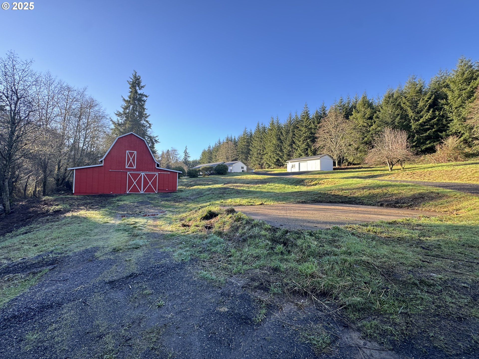 73345 Apiary Road Rainier, OR 97048 - Photo 3 of 44 a view of a yard with large trees
