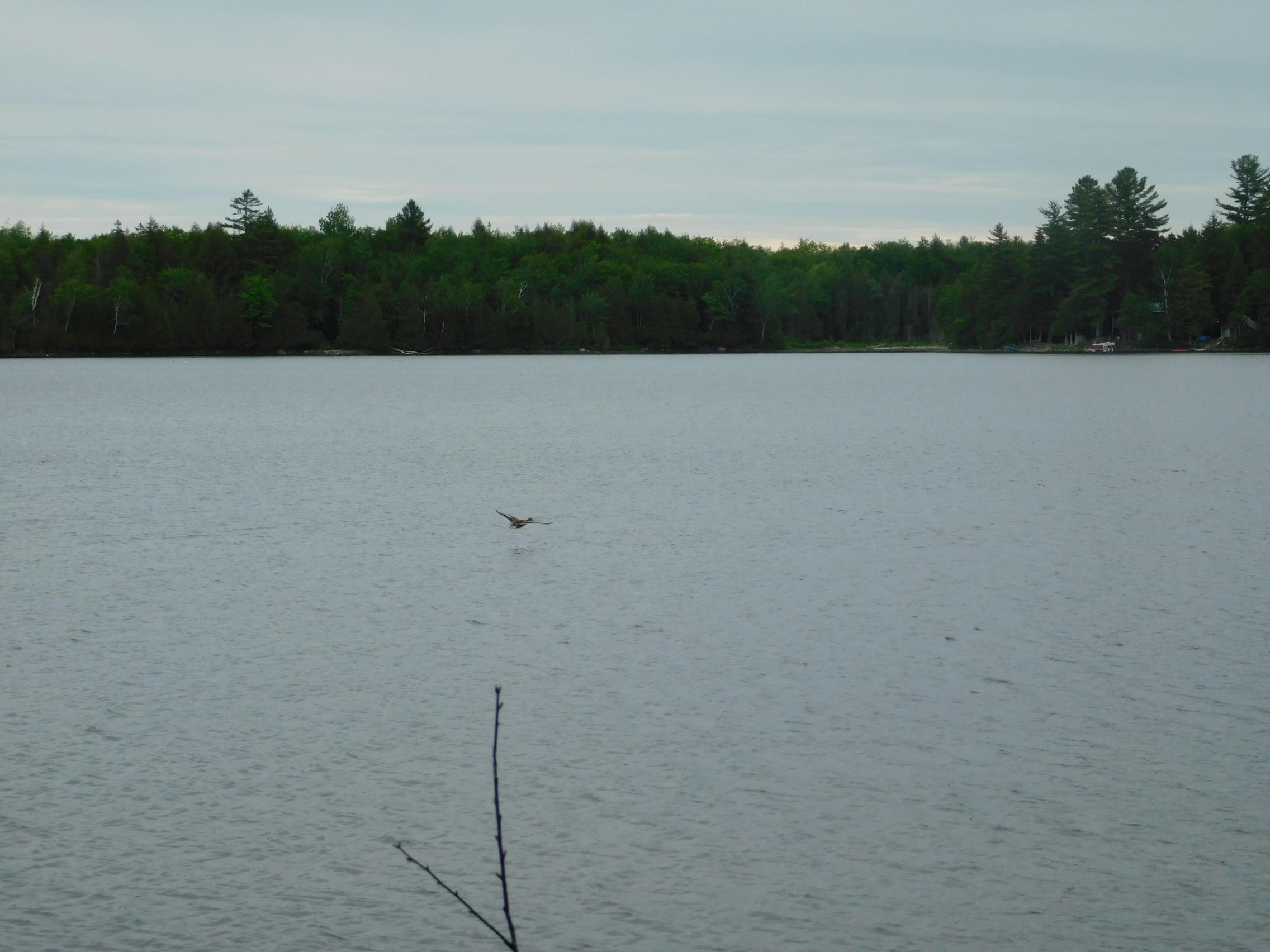 289 Ironbound Pond Road Solon, ME 04979 - Photo 5 of 33 DSCN1333