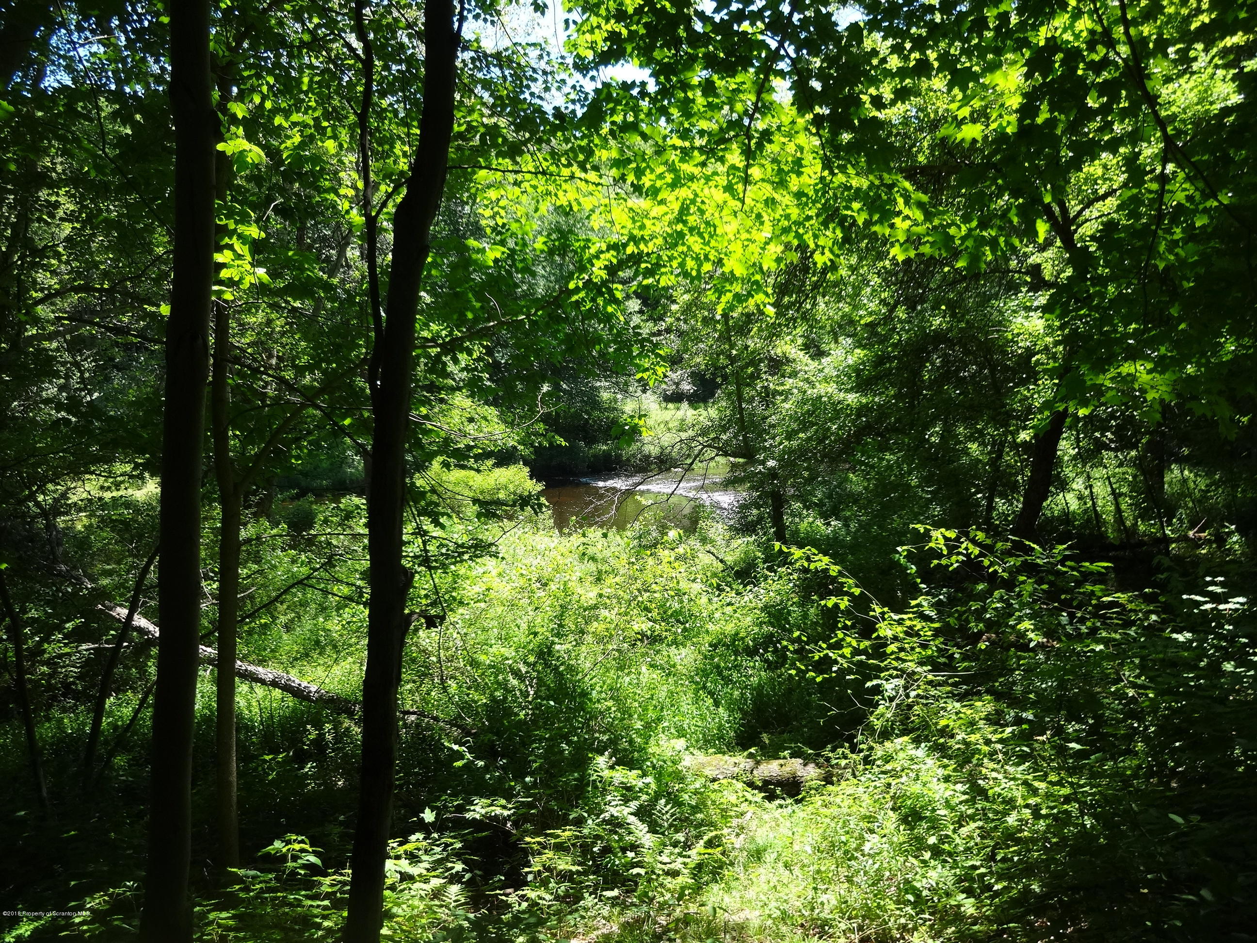 Locust Ridge Rd Road Thornhurst, PA 18424 - Photo 2 of 6 DSC07138