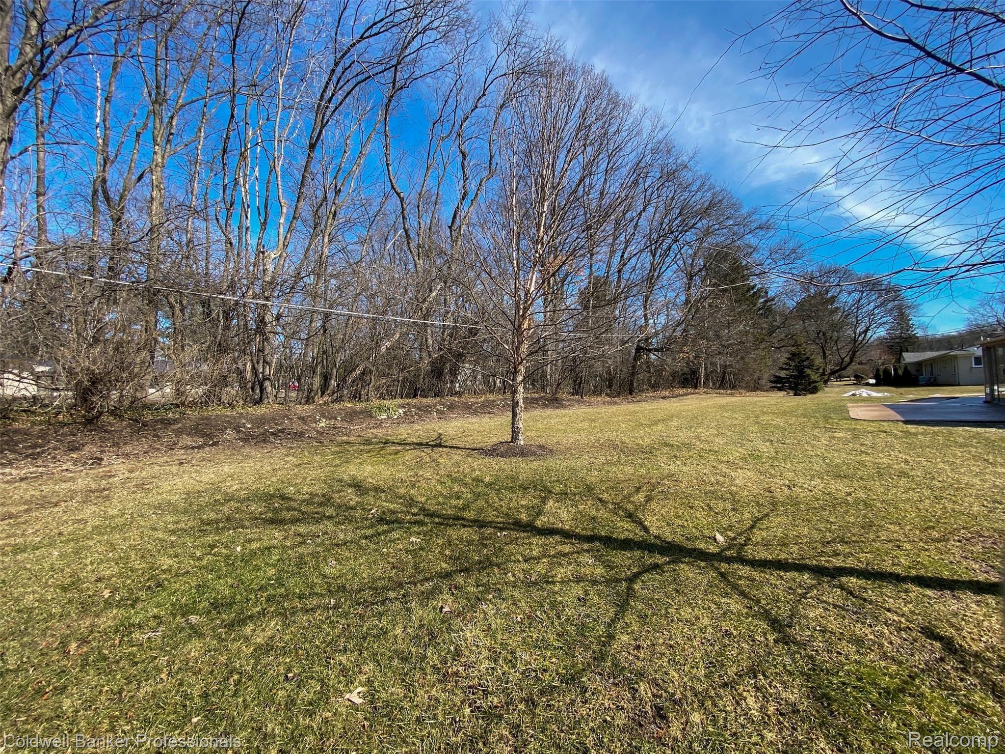 951 North Reading Road Bloomfield Hills, MI 48304 - Photo 26 of 29 Rear Yard.jpg