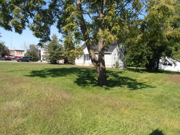 a view of a trees in a yard