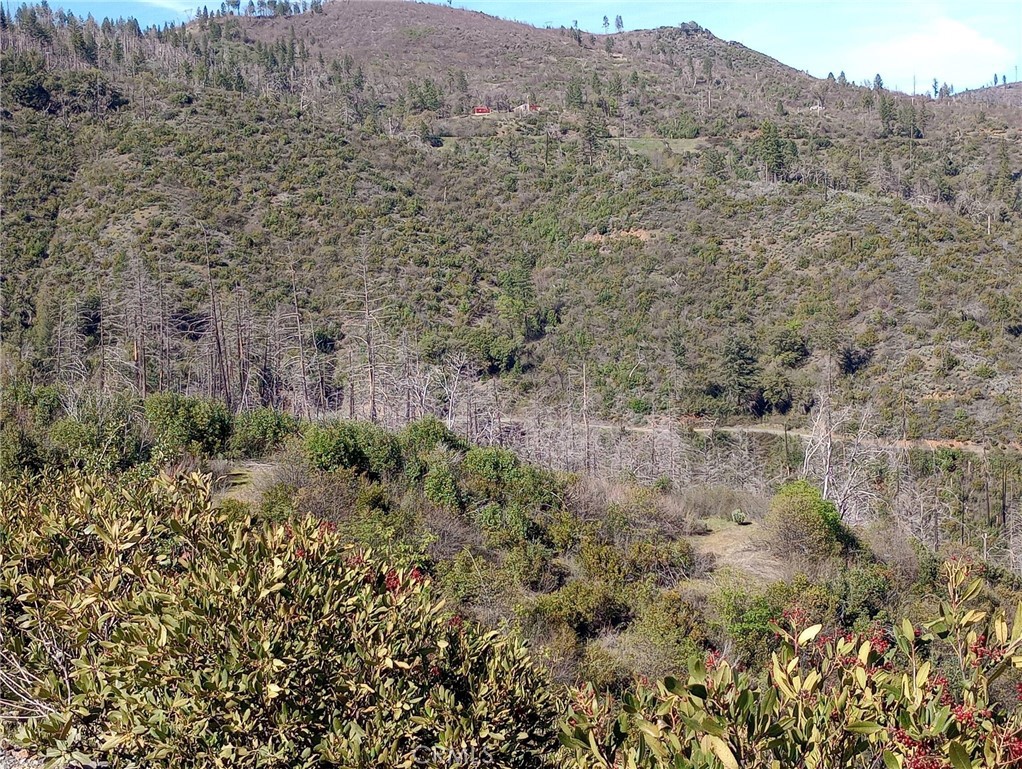 0 Bardees Bar Road Oroville, CA 95965 - Photo 13 of 33