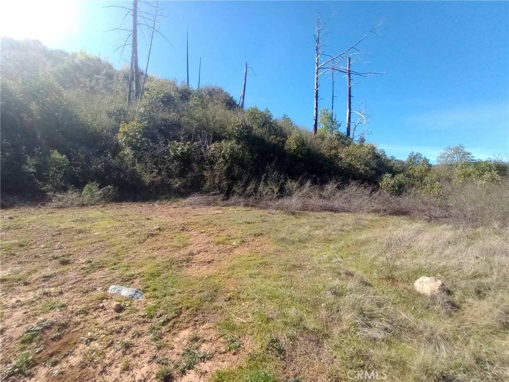 0 Bardees Bar Road Oroville, CA 95965 - Photo 18 of 33