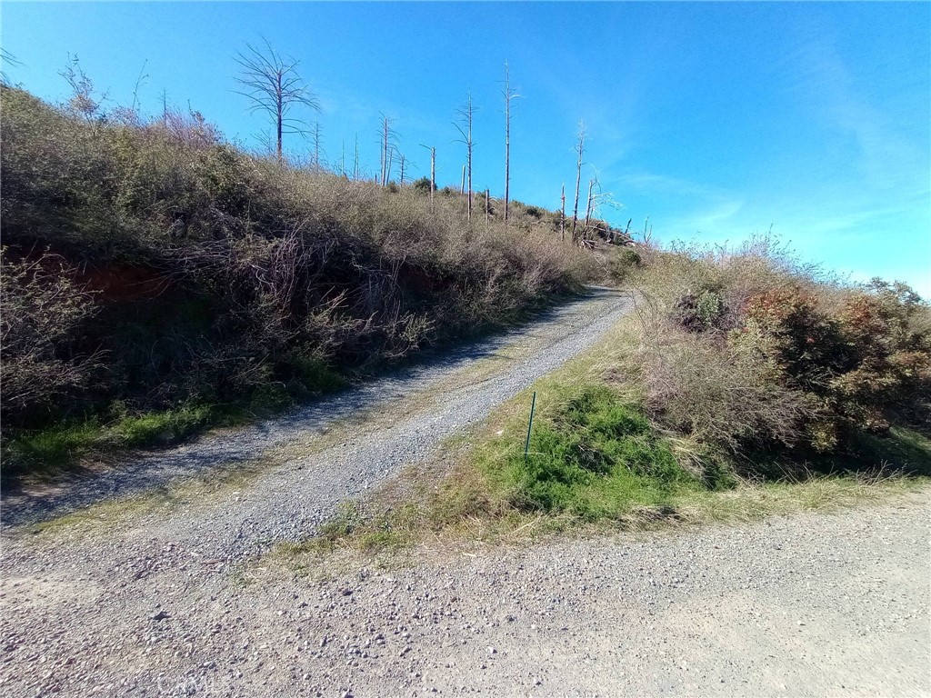 0 Bardees Bar Road Oroville, CA 95965 - Photo 2 of 33 Driveway #1 the beginning of 151 acres