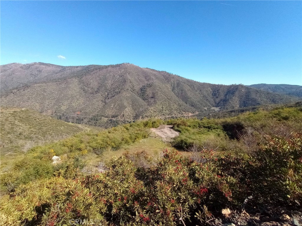 0 Bardees Bar Road Oroville, CA 95965 - Photo 28 of 33 Mountain views