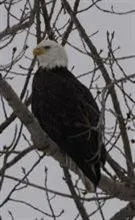 $85,000 | 8655 Heron, Unit 32, Watervliet, MI 49098