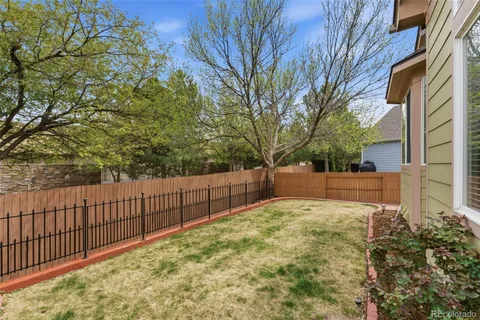 a view of backyard and tree
