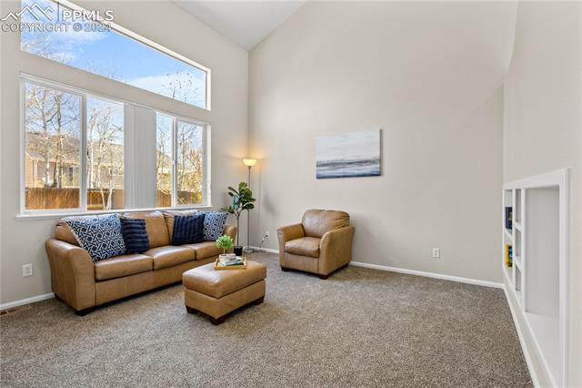 7523 Coffee Road Peyton, CO 80831 - Photo 2 of 18 Living room with high vaulted ceiling, tons of natural light and built-in bookshelves