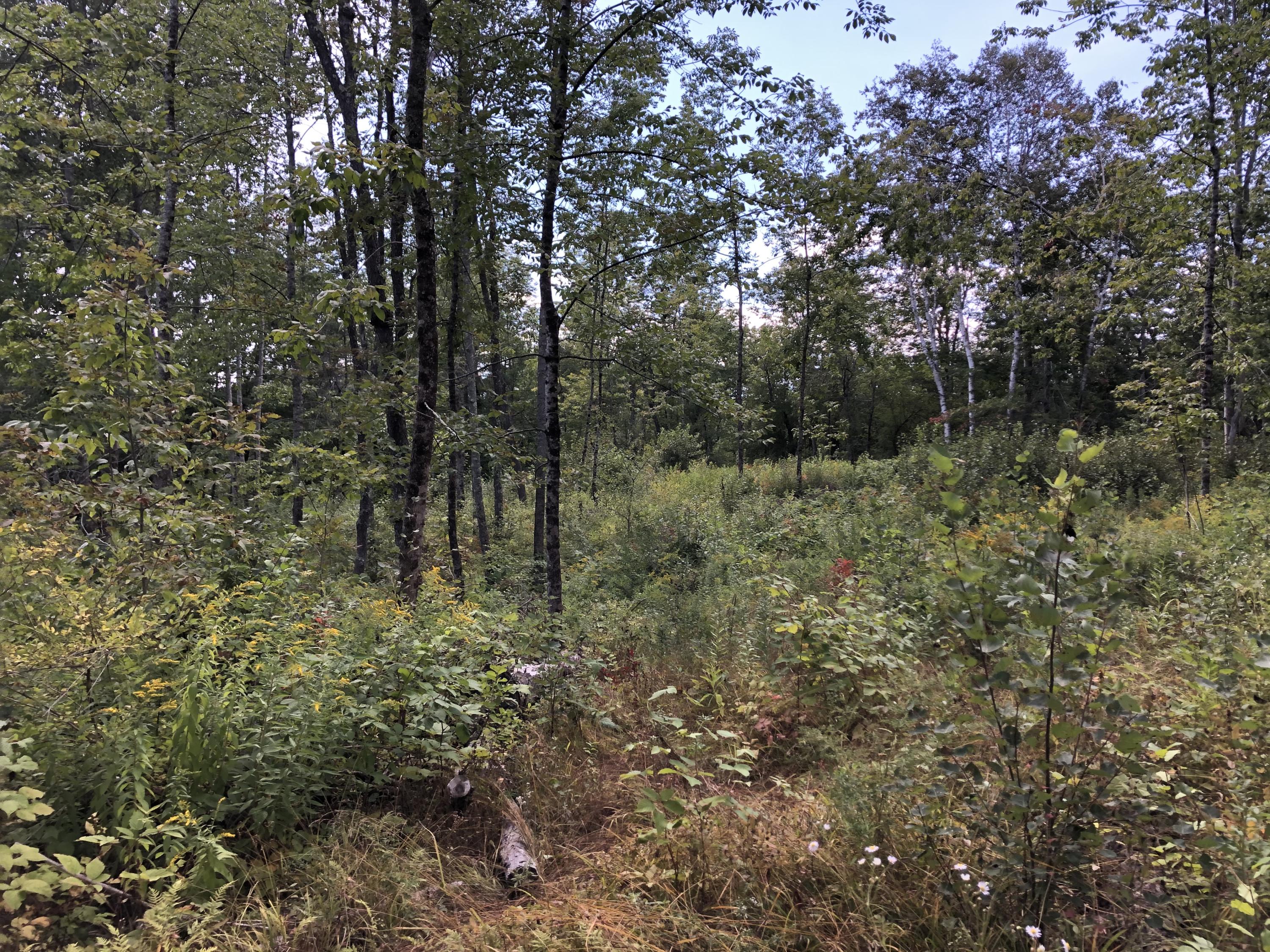 1 Lupine Road Belfast, ME 04915 - Photo 7 of 16 IMG_6293