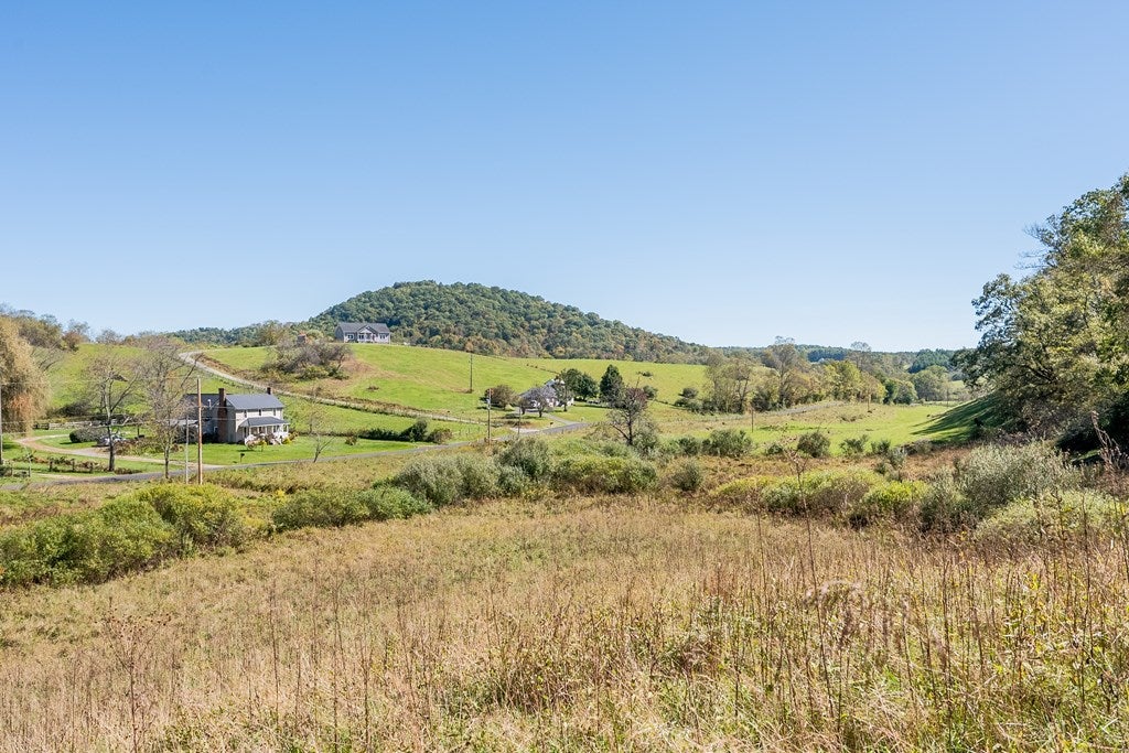 4-acres Carsonville Road Independence, VA 24348 - Photo 20 of 42 Gallery Image 20