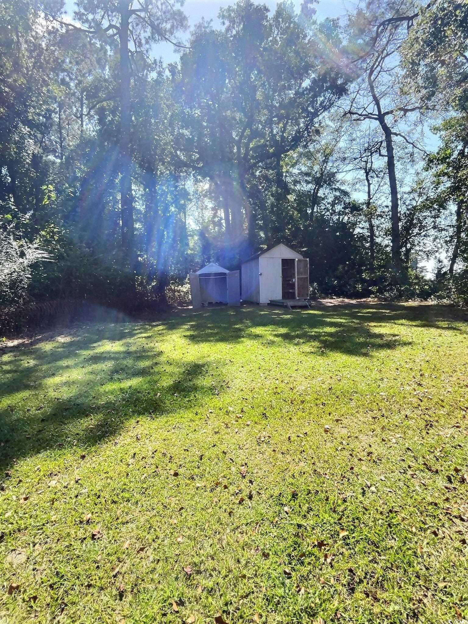 1000 Westgate Place Loris, SC 29569 - Photo 6 of 26 View of green lawn with a storage shed