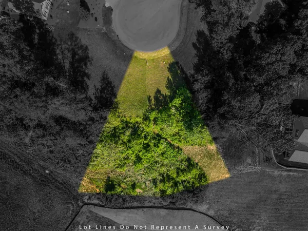 a view of a garden with large trees