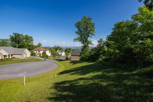 a green field with lots of trees