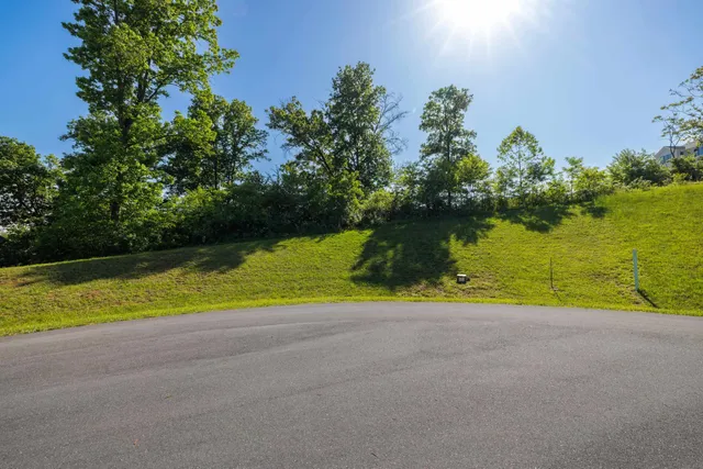 a view of a swimming pool and an outdoor space
