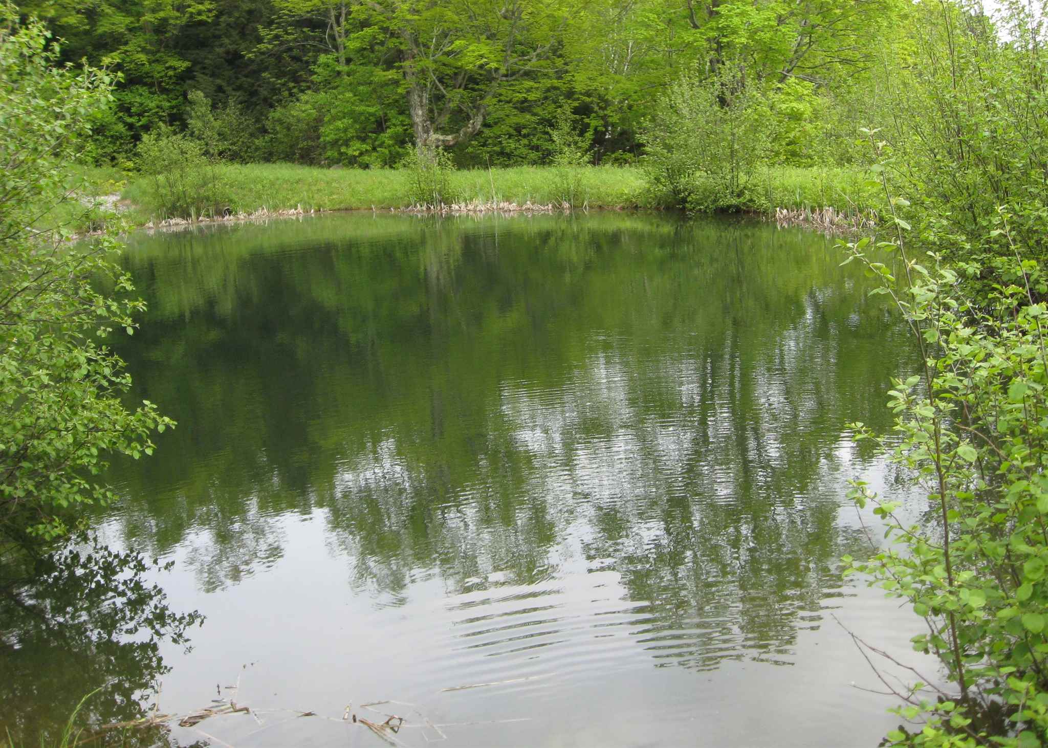 17 Valley View Road West Dover, VT 05356 - Photo 8 of 40