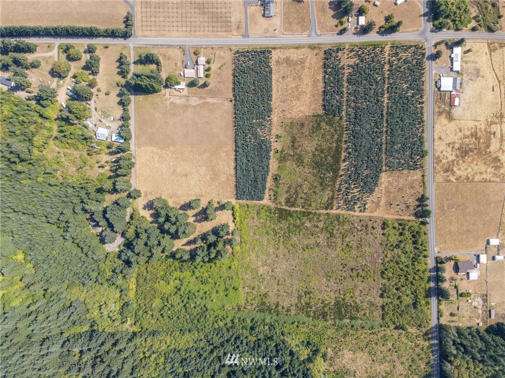 0 Lot 3 Tennessee Road Winlock, WA 98596 - Photo 3 of 8