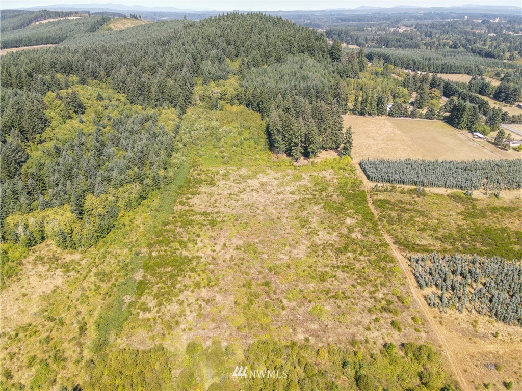 0 Lot 3 Tennessee Road Winlock, WA 98596 - Photo 8 of 8