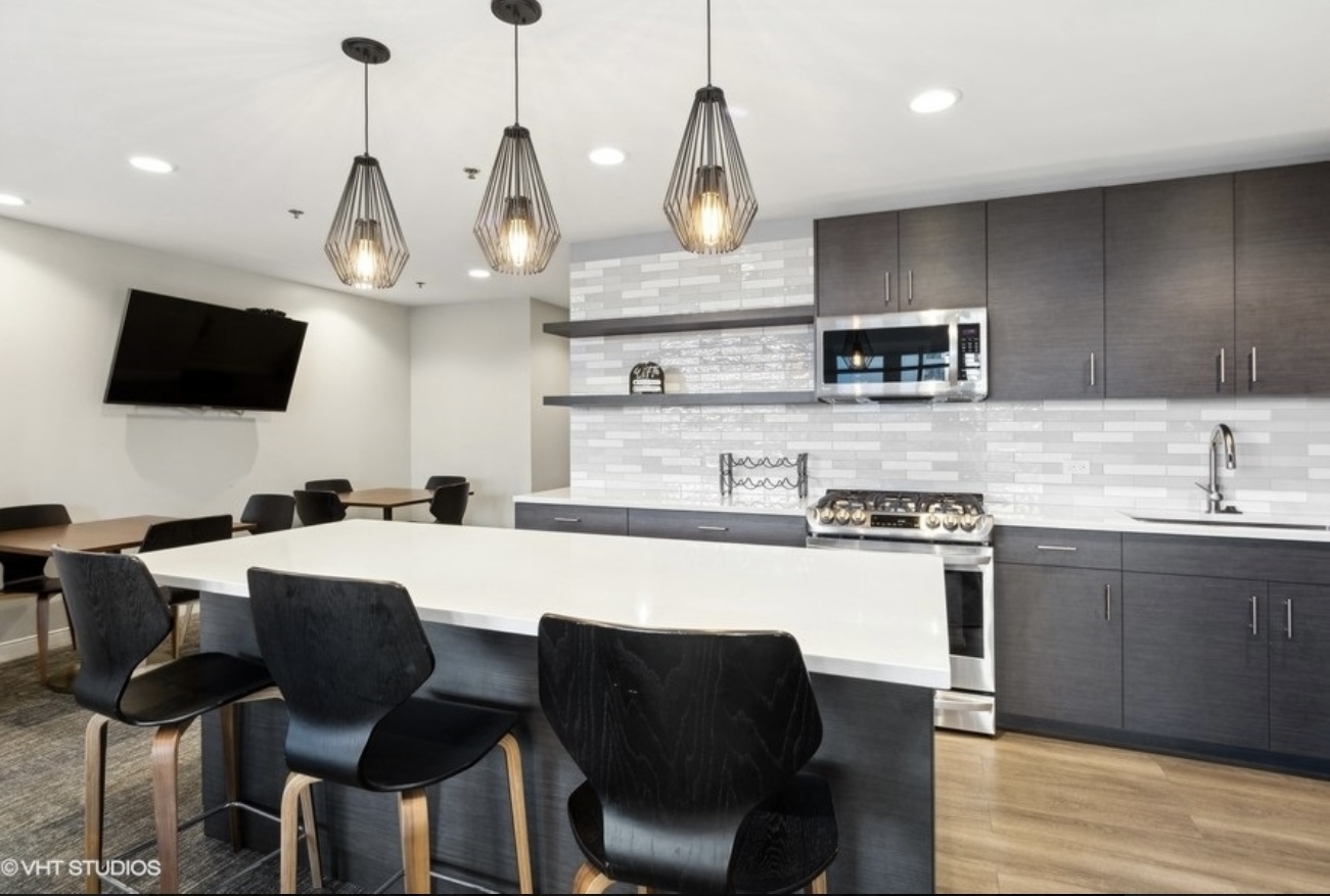 1250 South Michigan Avenue, Unit 1400 Chicago, IL 60605 - Photo 17 of 20