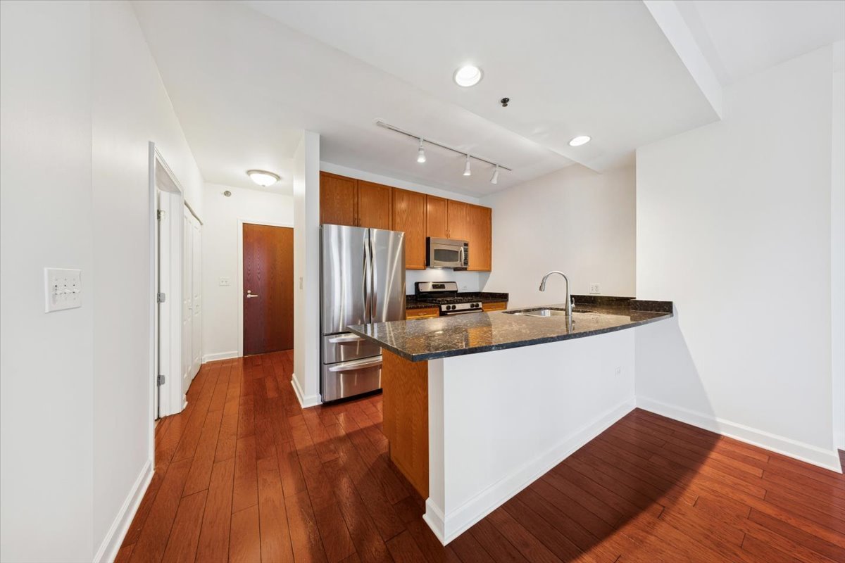 1250 South Michigan Avenue, Unit 1400 Chicago, IL 60605 - Photo 4 of 20