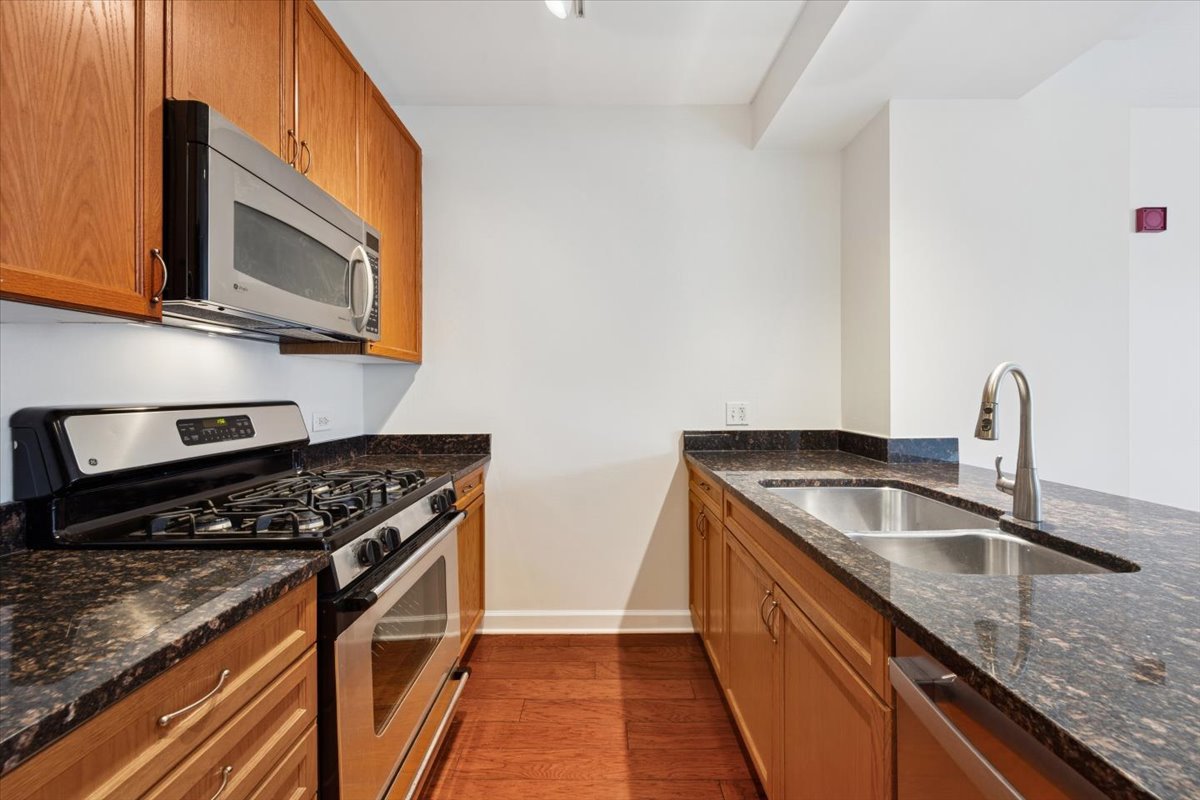 1250 South Michigan Avenue, Unit 1400 Chicago, IL 60605 - Photo 5 of 20