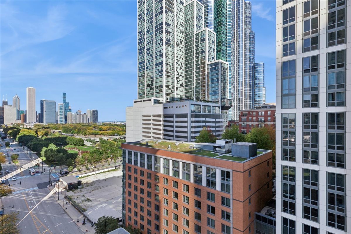 1250 South Michigan Avenue, Unit 1400 Chicago, IL 60605 - Photo 8 of 20