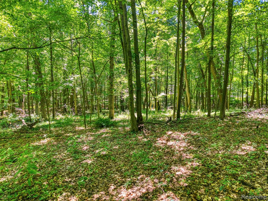 5663 Iosco Mountain Road Gregory, MI 48137 - Photo 5 of 13