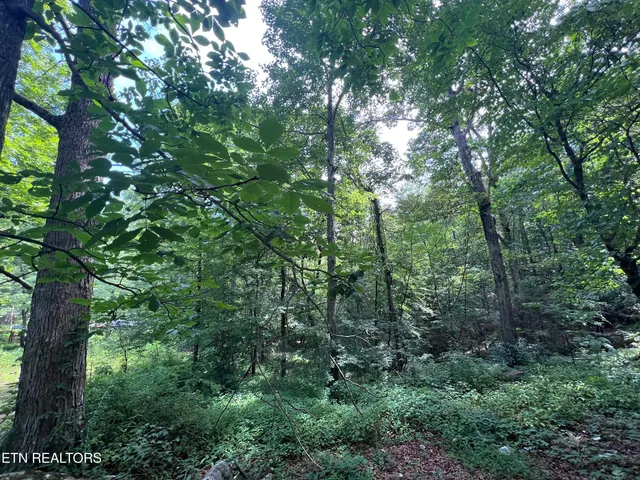 $250,000 | 119 Wagon Hollow Road, Middlesboro, KY 40965