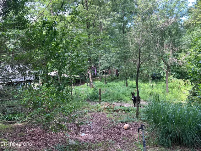 $250,000 | 119 Wagon Hollow Road, Middlesboro, KY 40965