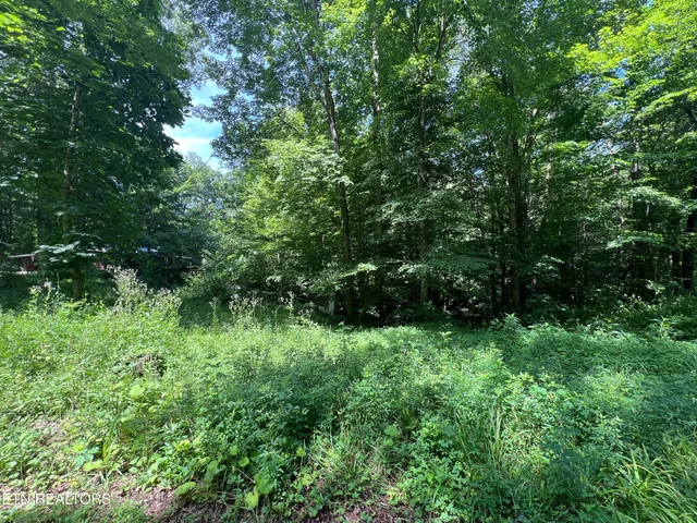 $250,000 | 119 Wagon Hollow Road, Middlesboro, KY 40965