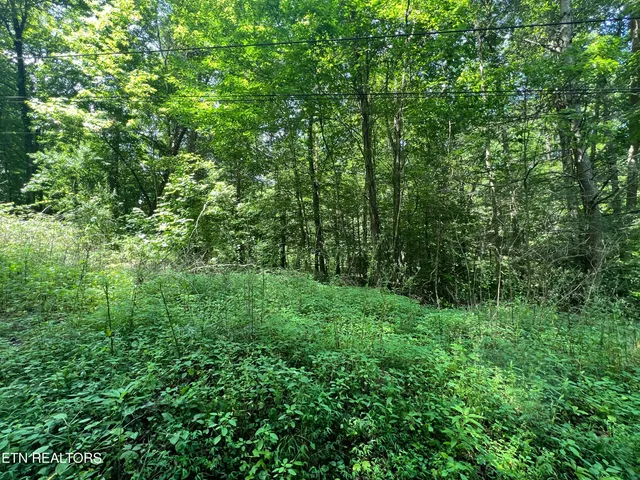 $250,000 | 119 Wagon Hollow Road, Middlesboro, KY 40965