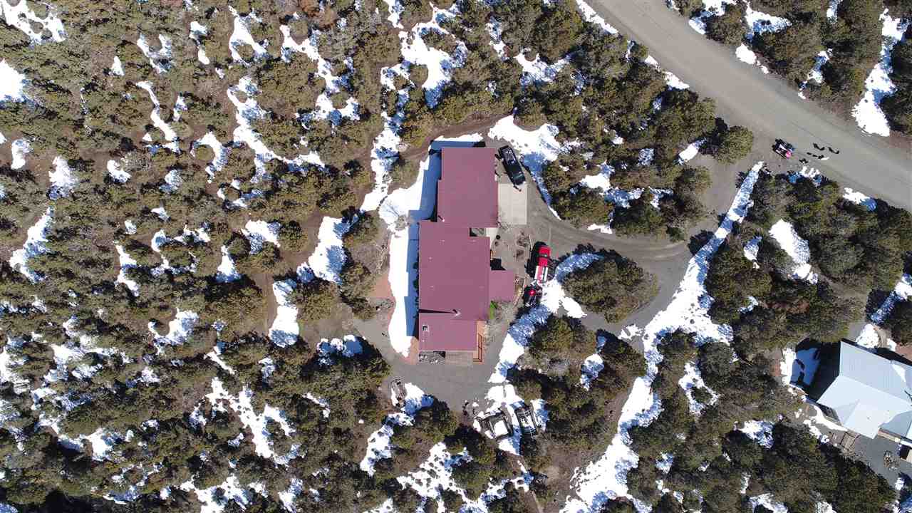18735 Northridge Road Cedaredge, CO 81413 - Photo 8 of 26 a picture of tree