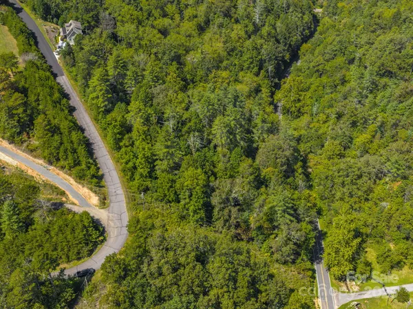 a view of a house with a lush green forest