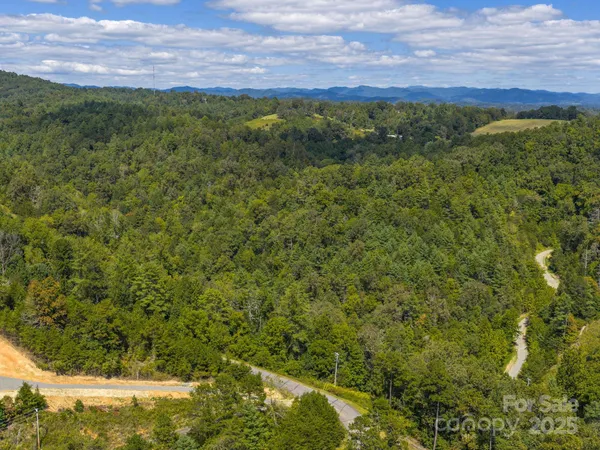 a view of a yard with an tree