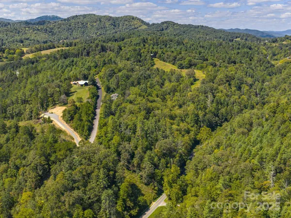 a view of a city with lush green forest