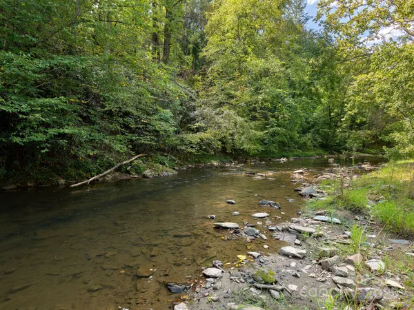 $24,900 | 0 Highland Creek Drive, Unit 31, Marshall, NC 28753