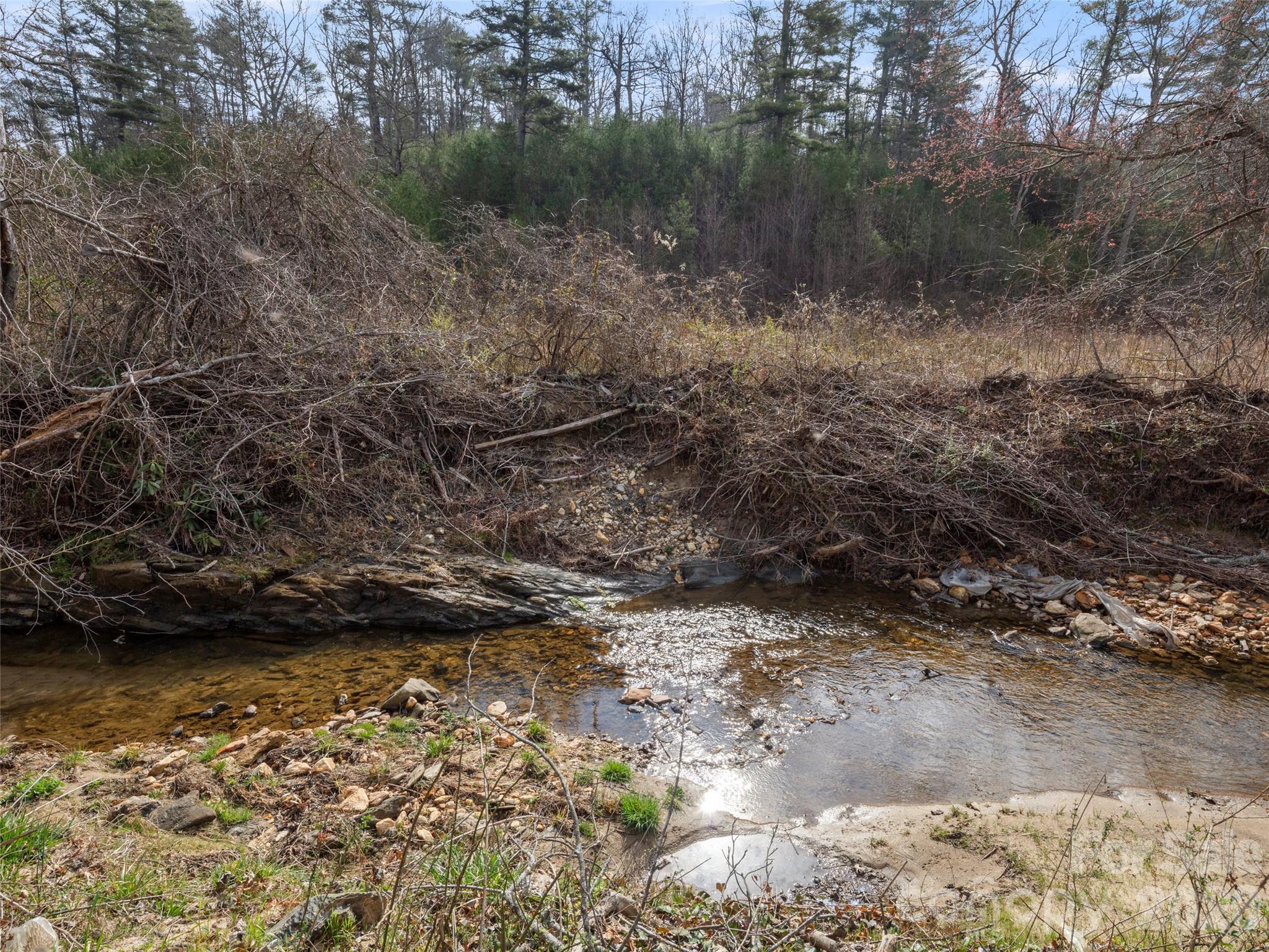 2095 Emmas Grove Road Fairview, NC 28730 - Photo 23 of 24 a view of a lake with mountain