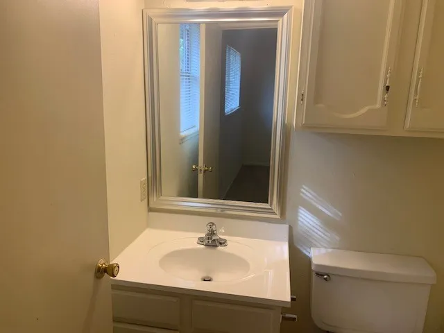 a bathroom with a sink and a toilet