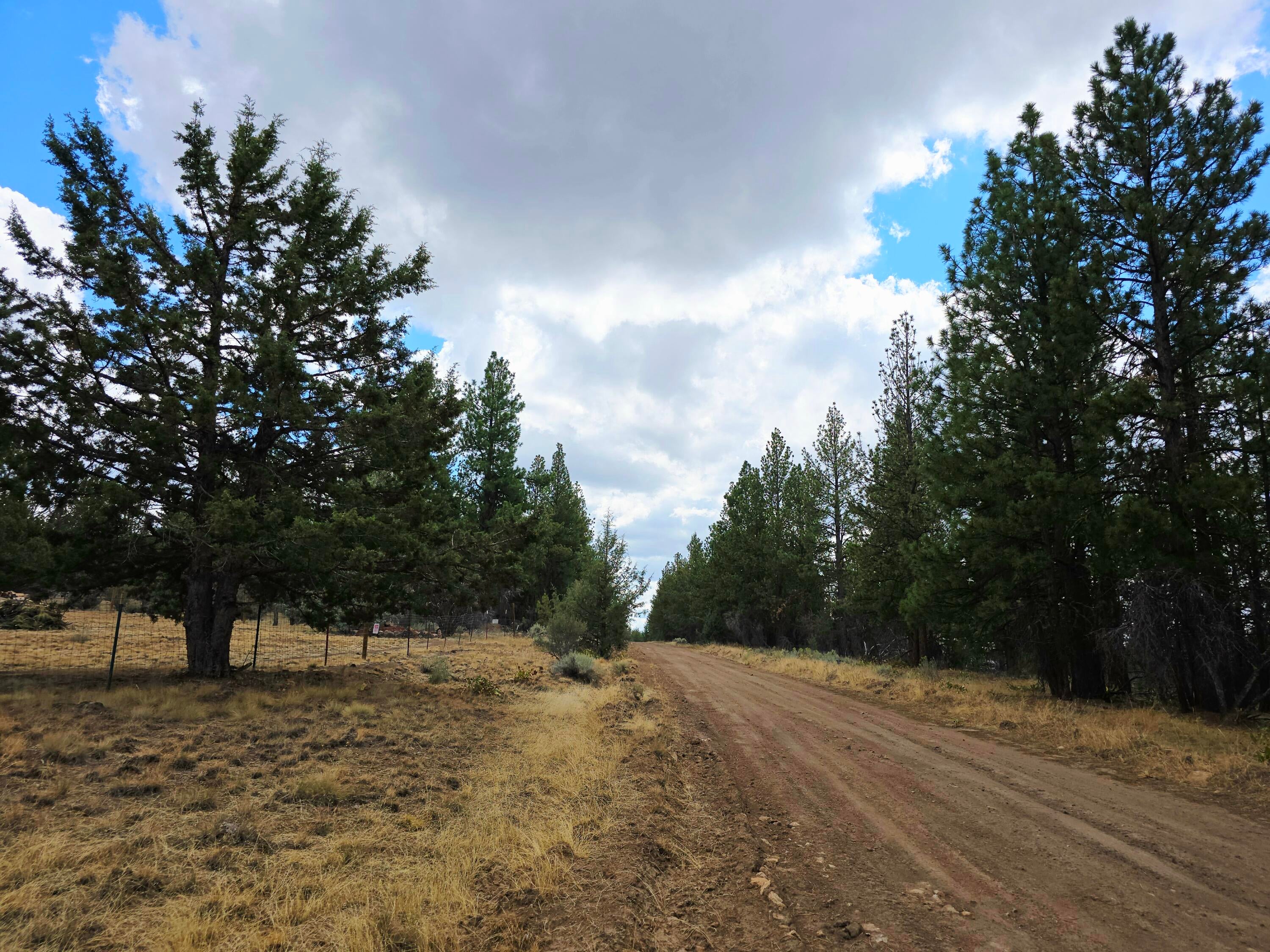 48070 Partin Drive Beatty, OR 97621 - Photo 24 of 29 The road