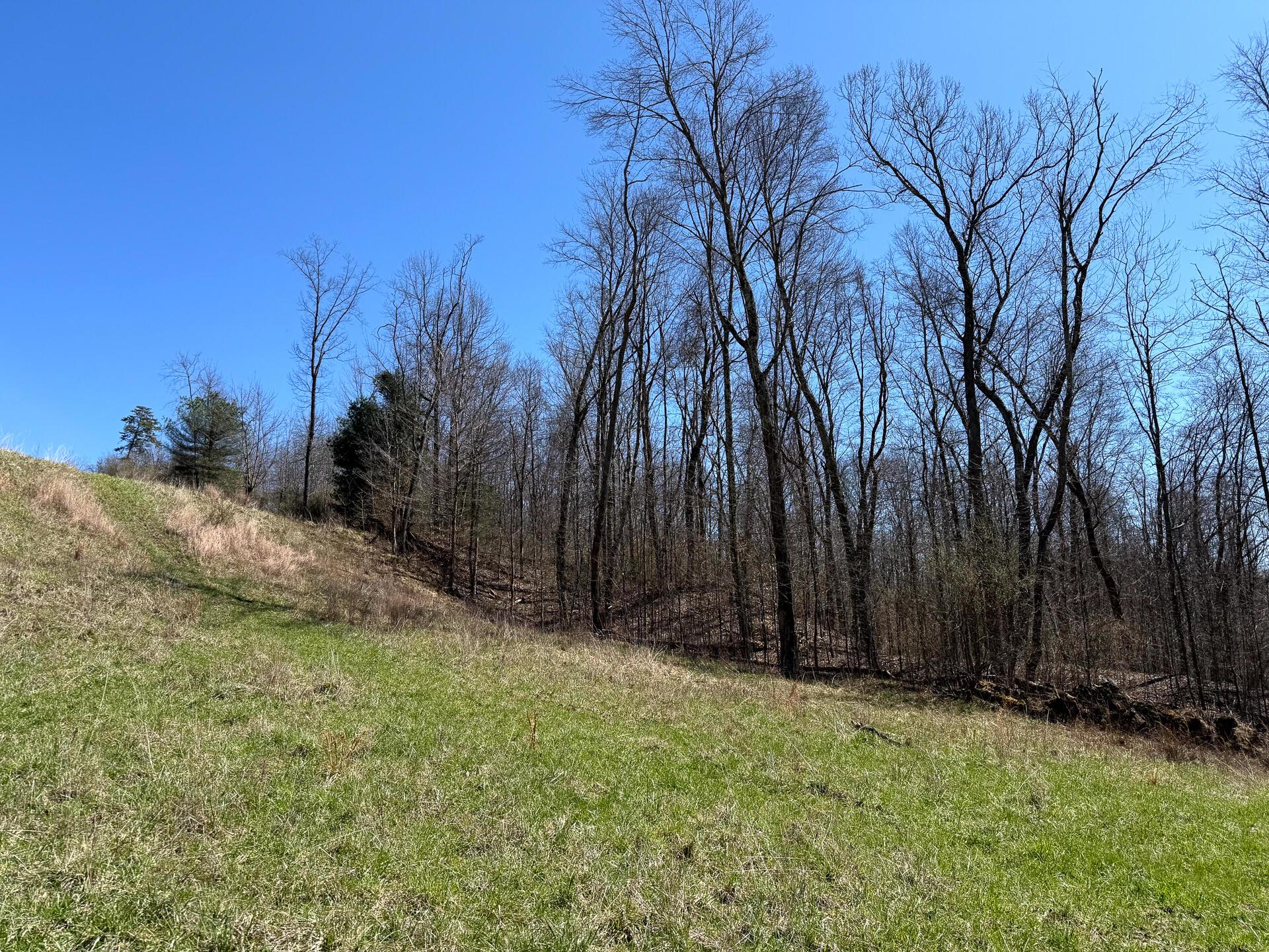 0 Dutch Ridge Road Southeast, Unit WOODS TURKEY RUN TRACT 5) New Lexington, OH 43764 - Photo 53 of 58 CT-53