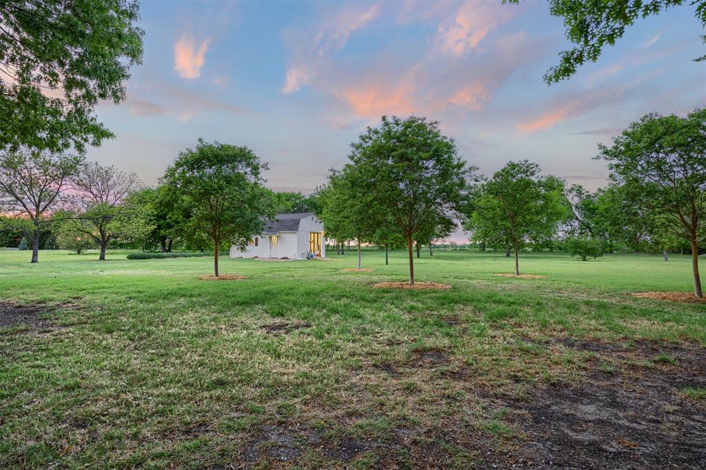7225 Moss Ridge Road Parker, TX 75098 - Photo 33 of 40 The property features a white exterior, set amidst a vast grassy area with numerous trees