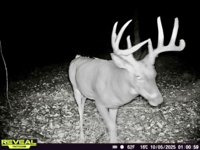 Chapin V/l Road Elsie, MI 48831 - Photo 18 of 26