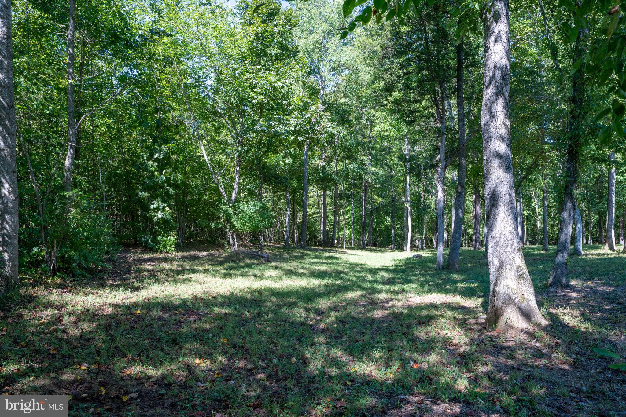 887 Hickory Creek Road Louisa, VA 23093 - Photo 37 of 48