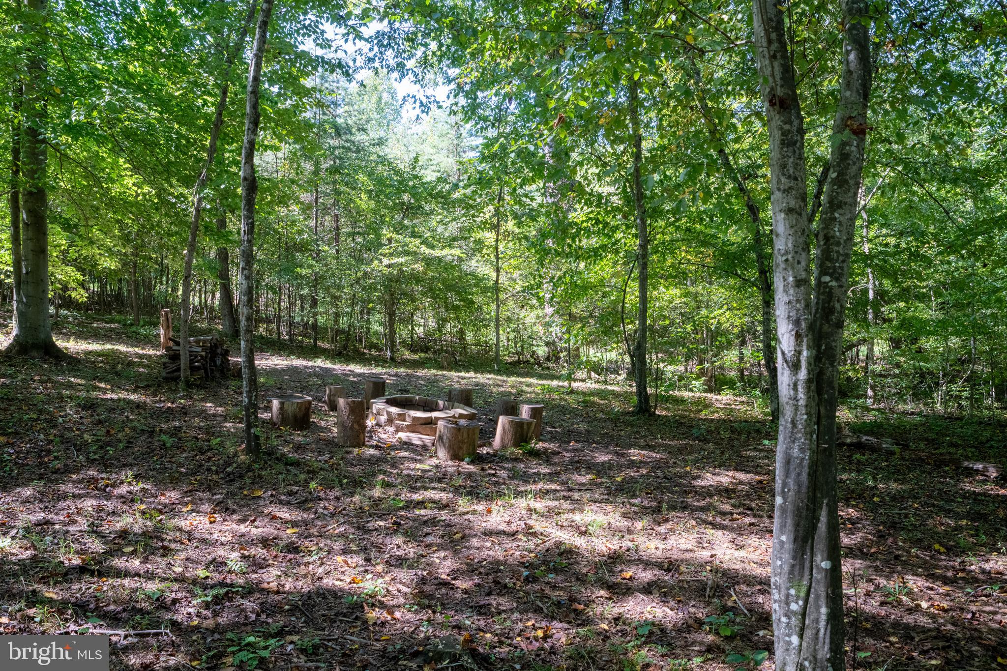 887 Hickory Creek Road Louisa, VA 23093 - Photo 39 of 48