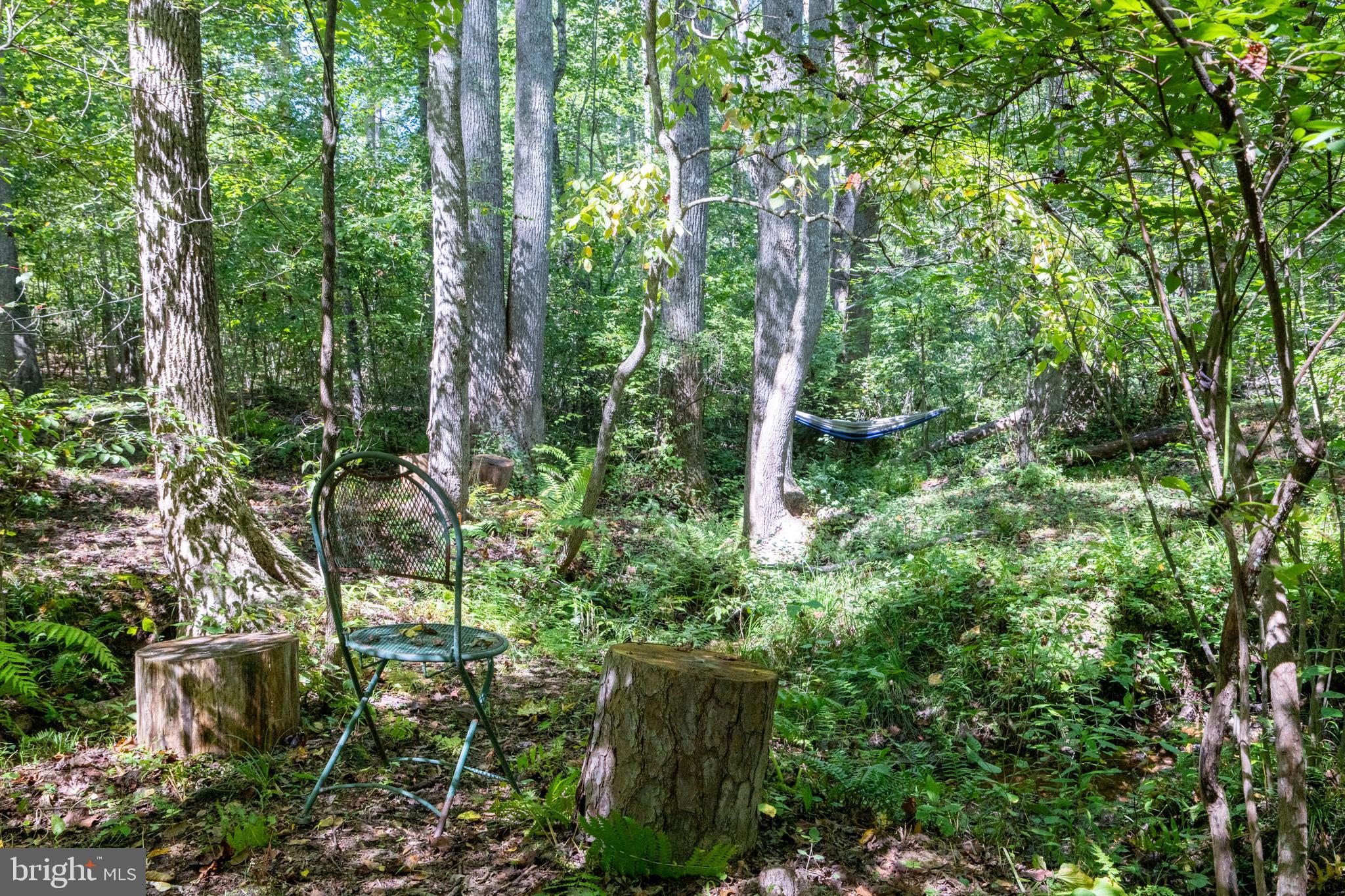 887 Hickory Creek Road Louisa, VA 23093 - Photo 40 of 48