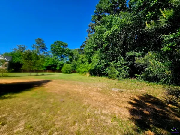 a view of a yard with a tree