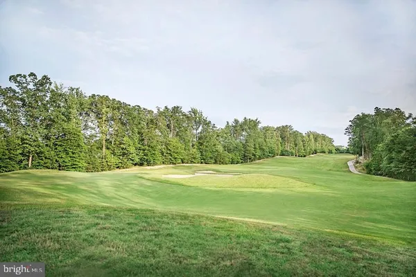 a view of a big yard with large trees