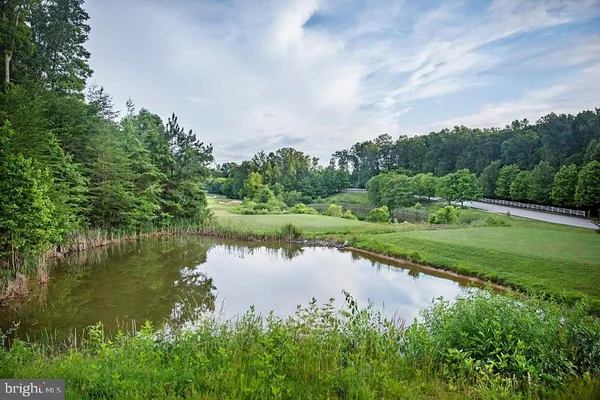 a view of a lake with a yard and large trees