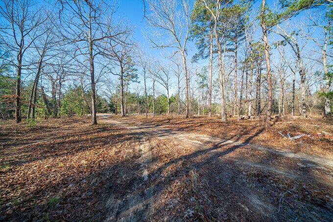 663 Gooseneck Road Aiken, SC 29805 - Photo 24 of 30 024-680x453-photo
