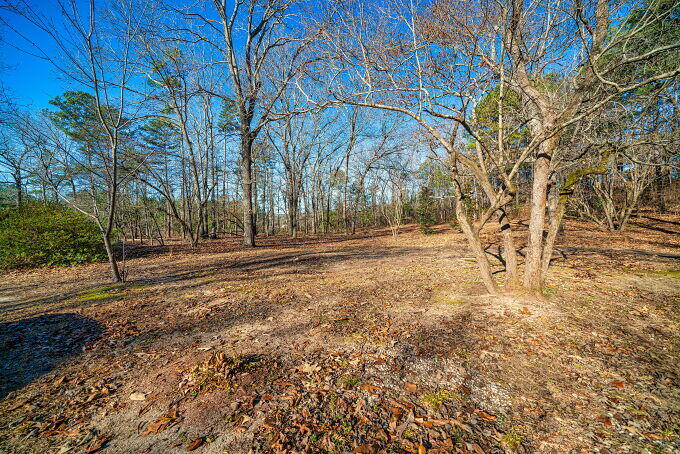 663 Gooseneck Road Aiken, SC 29805 - Photo 3 of 30 003-680x453-photo