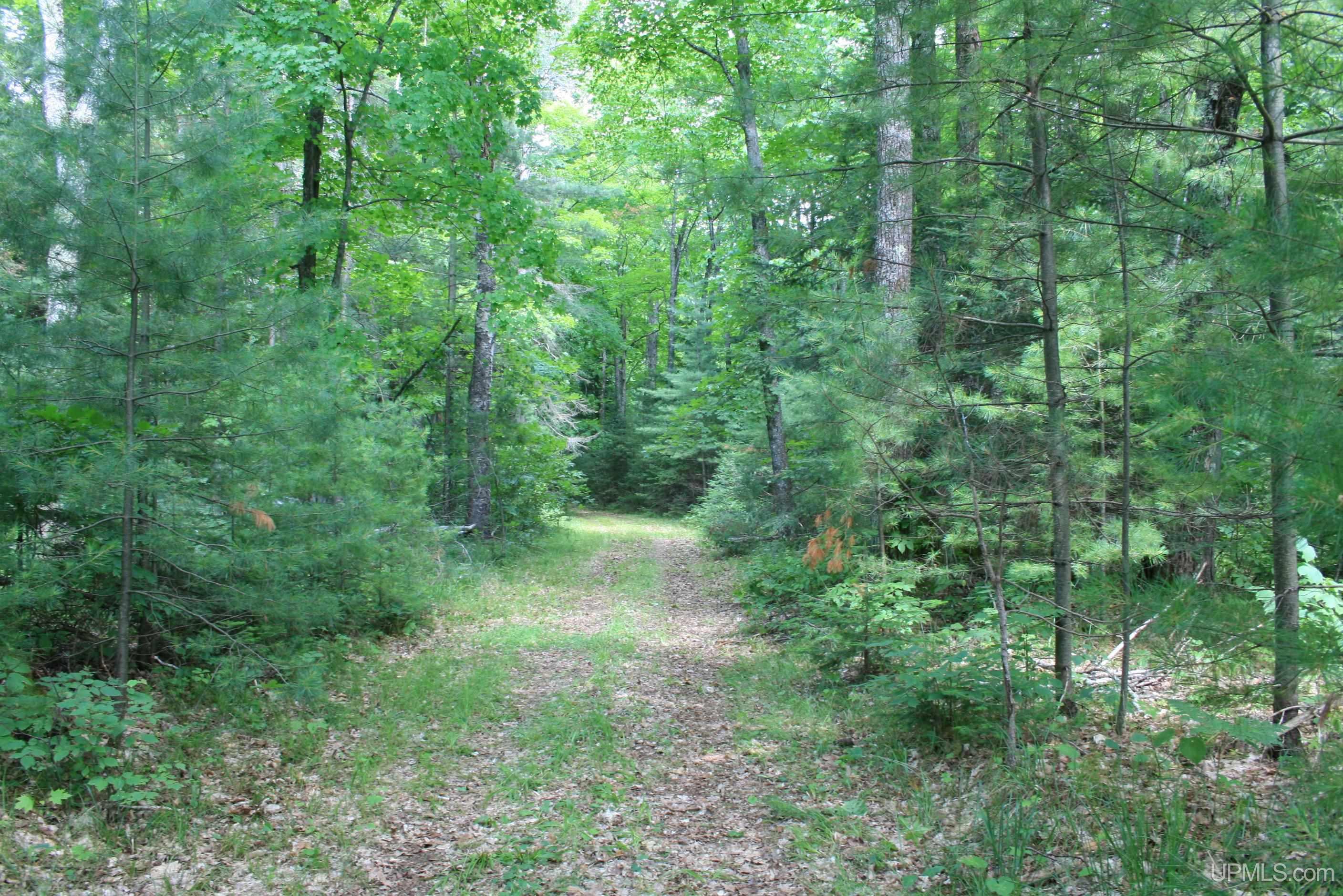 Tbd Sucker Lake Road Watersmeet, MI 49969 - Photo 9 of 24